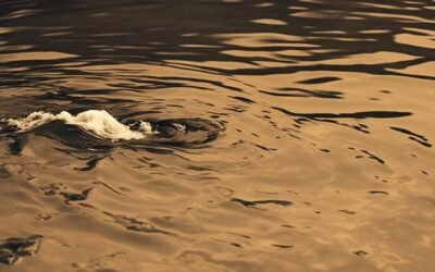 Learning from Seth Klukoff