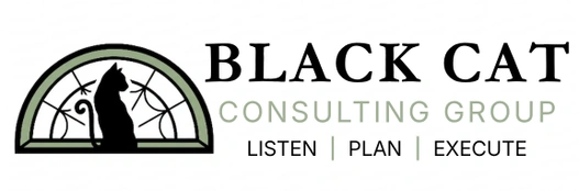 Black Cat - Narrative Strategies That Turn Meaning Into Action | Robert Patrick Levey